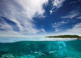 seychely-hotel-alphonse-island-017.jpg