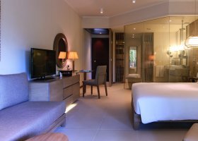 Tropical Garden View Room