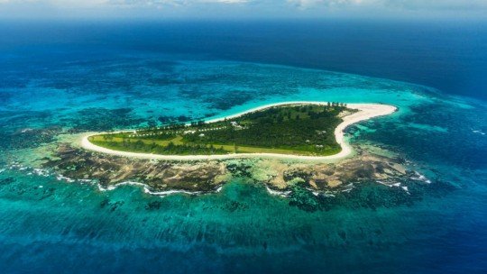 Bird Island Lodge